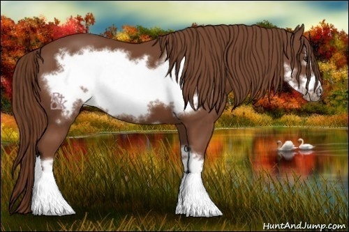 Horse Color:Chestnut Frame