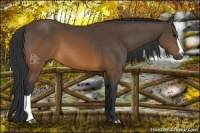Horse Color:Brown 