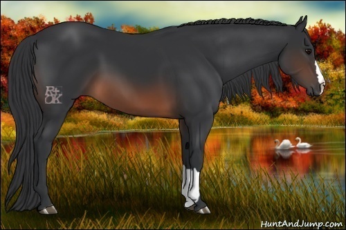 Horse Color:Brown 