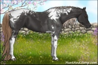 Horse Color:Liver Chestnut Tobiano 