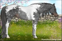 Horse Color:Liver Chestnut Tobiano Rabicano 