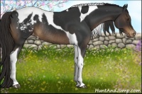 Horse Color:Liver Chestnut Tobiano Varnish Rabicano