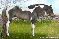 Horse Color:Liver Chestnut Tobiano Rabicano