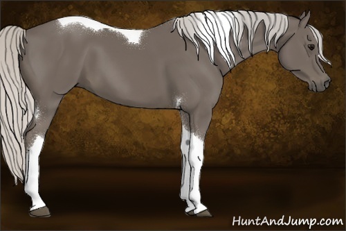 Horse Color:Silver Smoky Black Sabino Tobiano