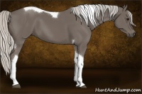 Horse Color:Silver Smoky Black Sabino Tobiano 
