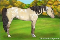 Horse Color:White Spotted Sable Champagne Dun
