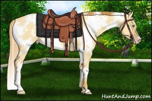 Horse Color:White Spotted Gold Champagne Dun