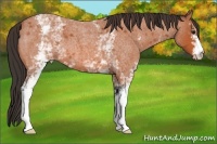 Horse Color:White Spotted Bay Roan Varnish 