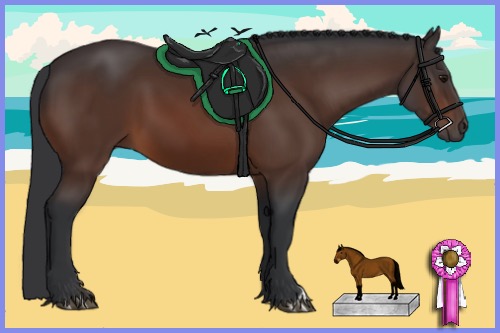 Horse Color:Bay 