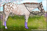 Horse Color:Brown Blanket and Chestnut Blanket