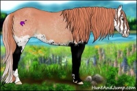 Horse Color:Watercolor Chestnut Splash 