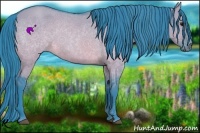 Horse Color:Watercolor Brown Dun 