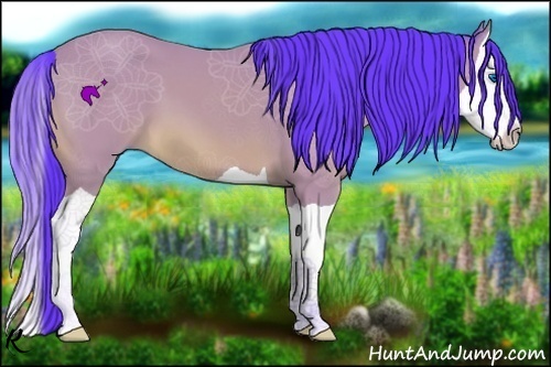 Horse Color:Watercolor Bay Splash 