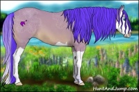 Horse Color:Watercolor Bay Splash