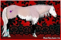 Horse Color:Watercolor Palomino Splash