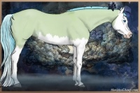 Horse Color:Watercolor Bay Dun Splash 