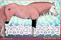 Horse Color:Watercolor Chestnut Splash