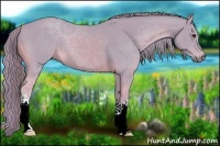 Horse Color:Watercolor Chestnut 