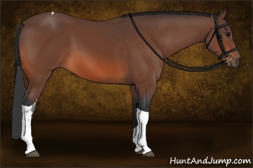 Horse Color:Bay Sabino Tobiano