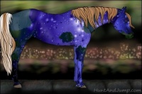 Horse Color:ERROR: UNKNOWN ANOMALY and ERROR: UNKNOWN ANOMALY