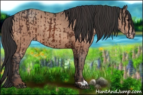 Horse Color:Bay and Amber Champagne