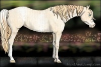 Horse Color:Buckskin Roan Pearl  and White Spotted Buckskin Roan Pearl 