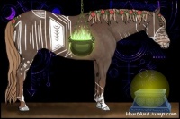 Horse Color:Liver Chestnut Sabino