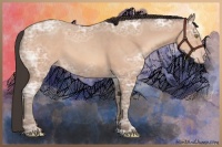 Horse Color:Sable Champagne Ice 