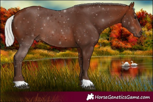 Horse Color:Silver Bay