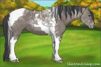 Horse Color:Grullo Tobiano
