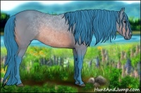 Horse Color:Watercolor Bay 