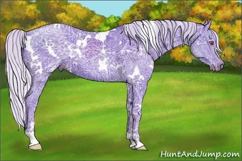 Horse Color:Watercolor White Spotted Silver Black Chinchilla Ice 