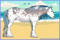 Horse Color:Watercolor White Spotted Brown Splash