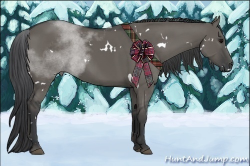 Horse Color:White Spotted Grullo 