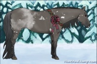 Horse Color:White Spotted Grullo 