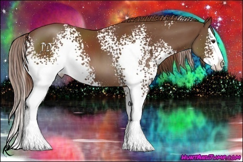 Horse Color:White Spotted Chestnut Splash 