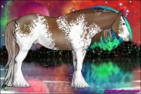 Horse Color:White Spotted Chestnut Splash