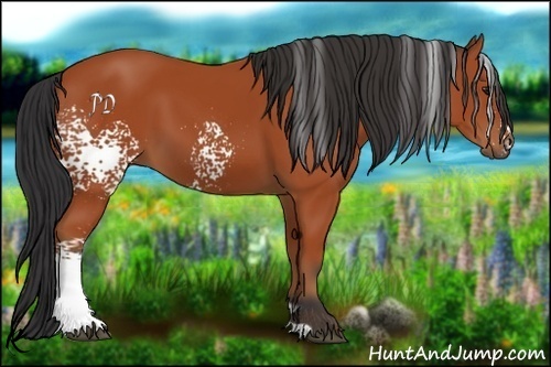 Horse Color:White Spotted Bay