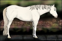 Horse Color:Perlino Roan Dun