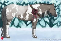 Horse Color:White Spotted Grullo 