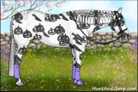 Horse Color:Smoky Black Sabino Splash 