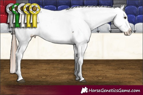 Horse Color:White Spotted Liver Chestnut Fewspot and Gold Champagne Frame Leopard