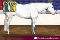 Horse Color:White Spotted Liver Chestnut Fewspot  and Gold Champagne Frame Leopard 