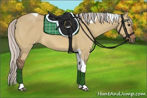 Horse Color:Silver Bay Dun Tobiano 