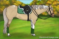 Horse Color:Silver Bay Dun Tobiano 