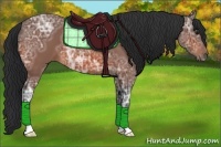 Horse Color:Bay Ice 