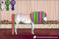 Horse Color:Painted Watercolor White Spotted Red Dun Splash  and Painted Watercolor White Spotted Red Dun Splash 