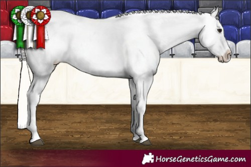 Horse Color:Silver Bay Tobiano Blanket 