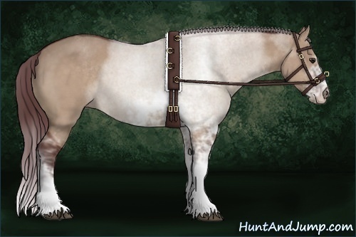 Horse Color:Chocolate Brown Dun Sabino 