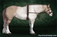Horse Color:Chocolate Brown Dun Sabino 